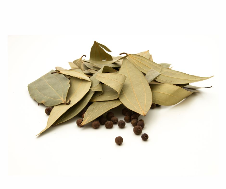 Bay Leaf Essential Oil