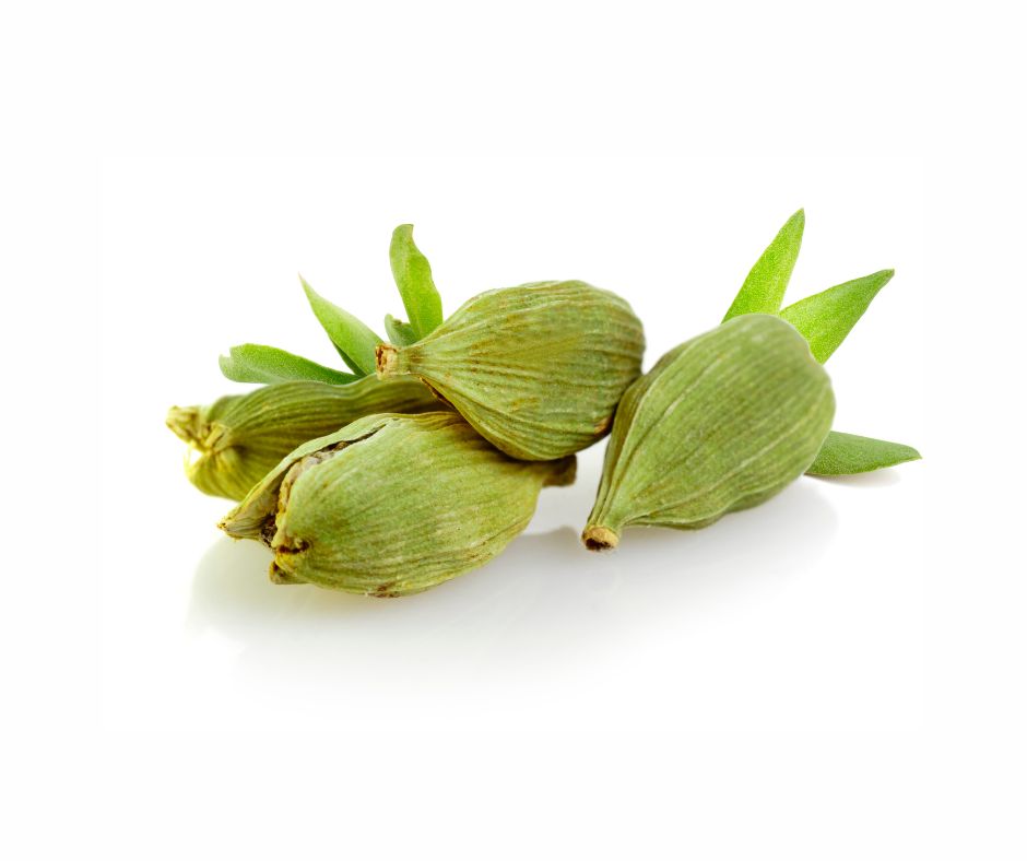 Cardamom Essential Oil