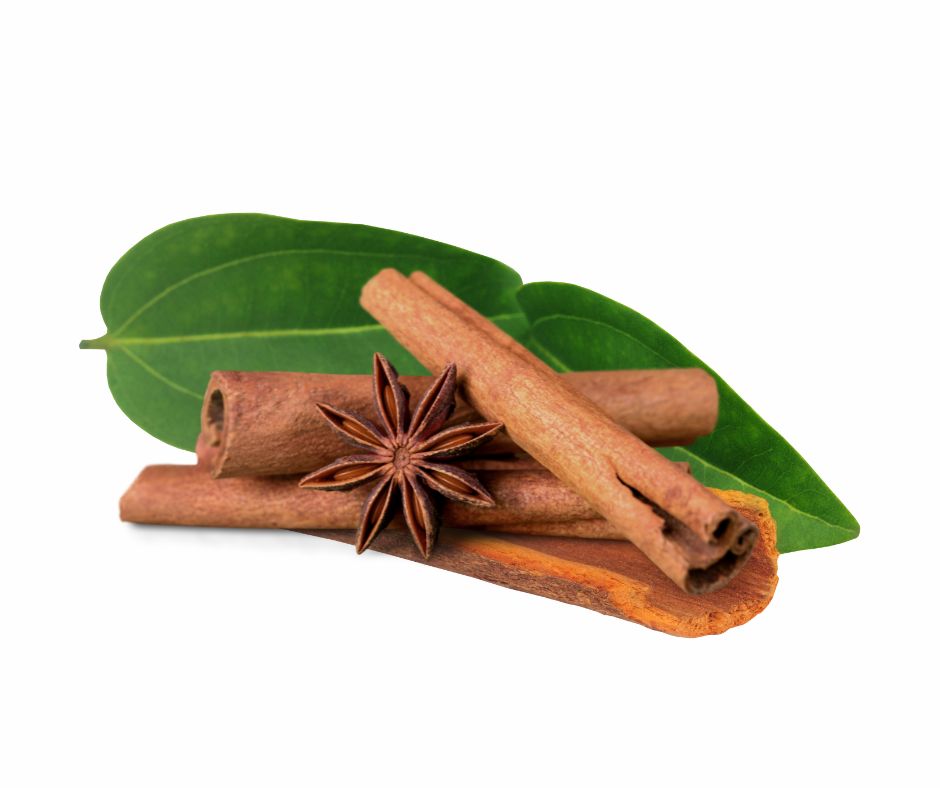 Cinnamon Leaf Essential Oil
