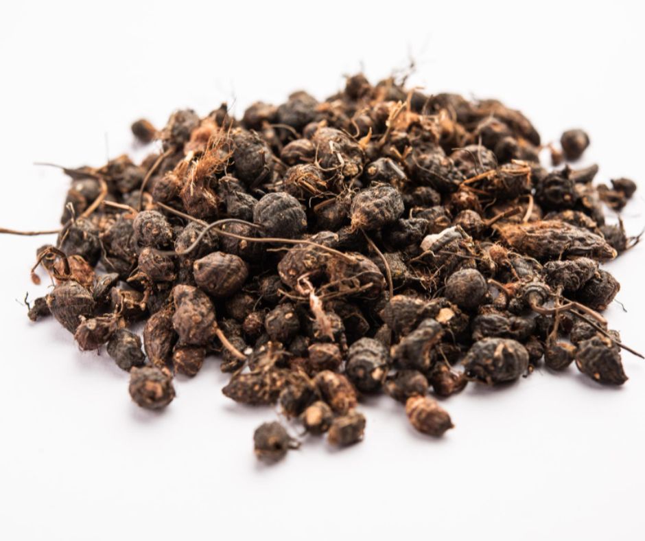 Cyperus (Nagarmotha) Essential Oil