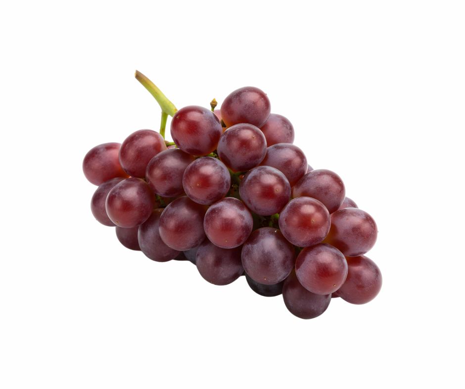 Grapeseed Carrier Oil