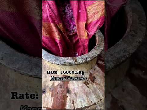 Rose Attar (Rosa damascena) | Authentic Indian Attar | Pure Natural Rose Attar By Kannauj